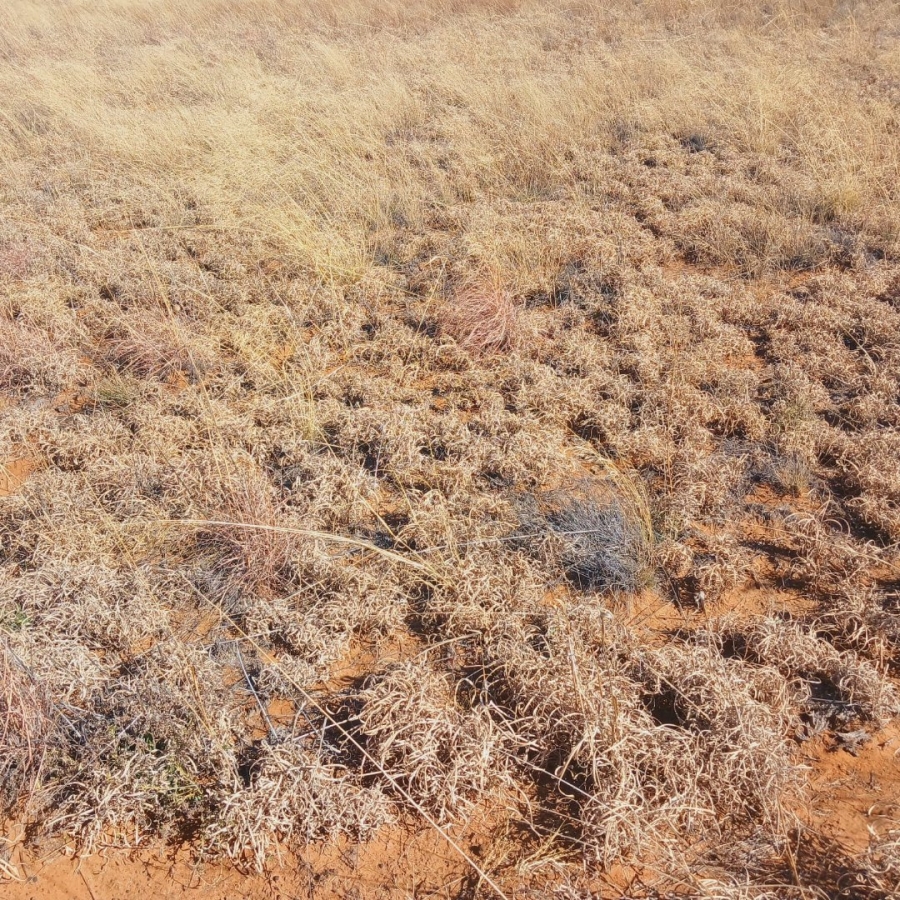 Commercial Property for Sale in Reivilo Northern Cape